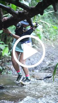 BIB:  <button type="button" onclick="openModal(27238652)" class="btn btn-primary btn-sm float-right" data-toggle="modal" data-target=".modal-high-quality">
                <i class="fa fa-download"></i> Download
                </button>